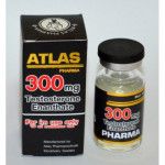 TESTOSTERONE ENANTHATE 300 10 Ml 300 Mg ATLAS